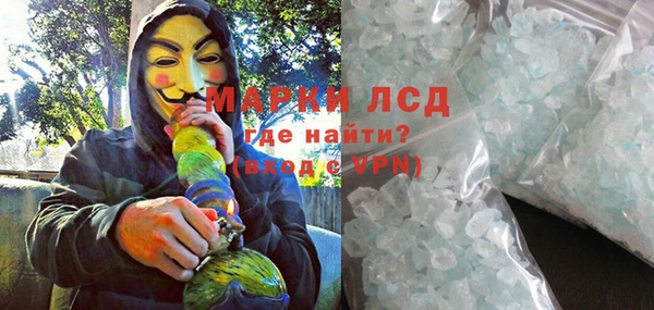 PSILOCYBIN Вяземский