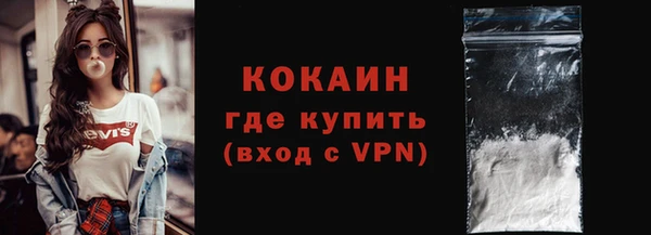 амф Горняк