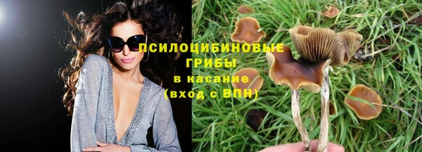амф Горняк