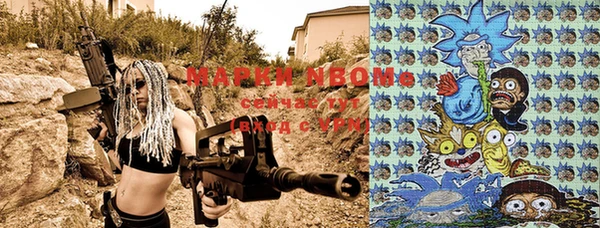PSILOCYBIN Вяземский
