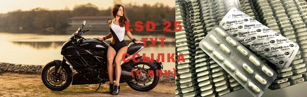 PSILOCYBIN Вяземский