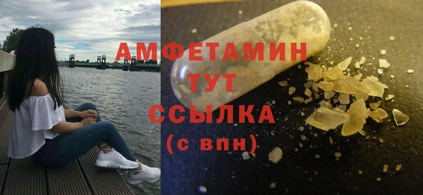 PSILOCYBIN Вяземский