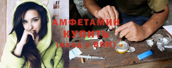 PSILOCYBIN Вяземский