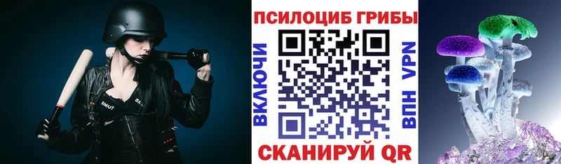 Псилоцибиновые грибы Psilocybe  Купить  Лермонтов 
